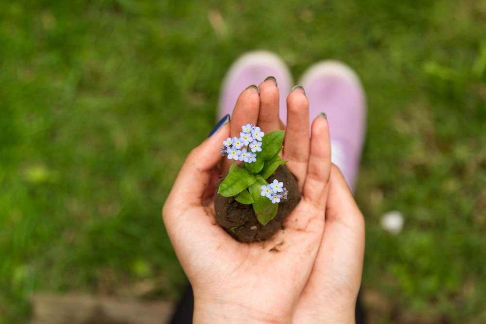 gardening