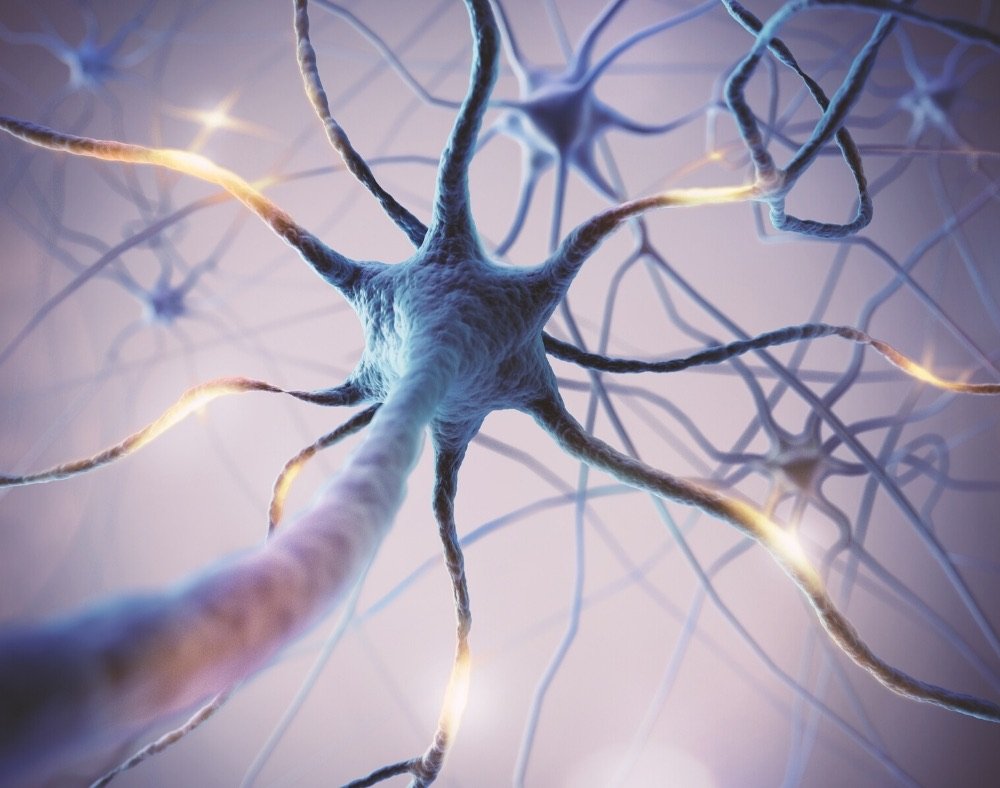 turmeone stimulates growth of new brain cells