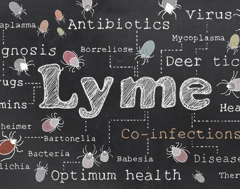 why doctors confuse lyme disease and dementia