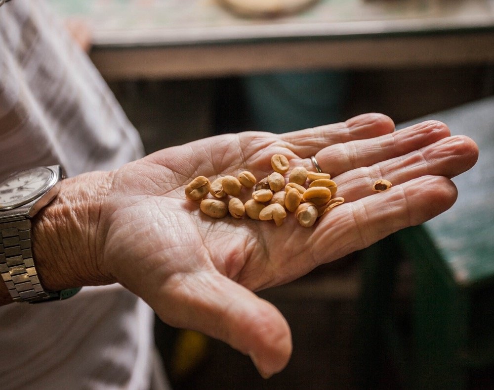 darker coffee roasts or lighter alzheimer's disease