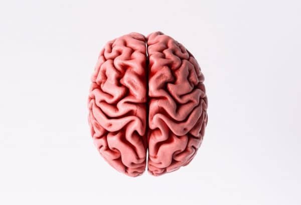 Do Neurologists Treat Dementia ReaDementia