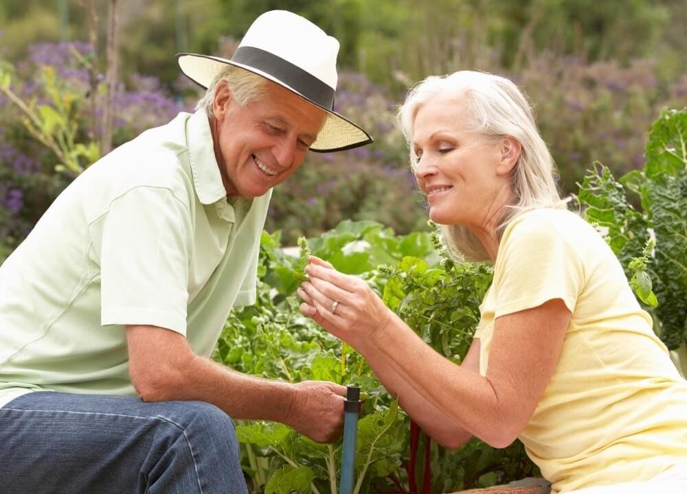 gardening