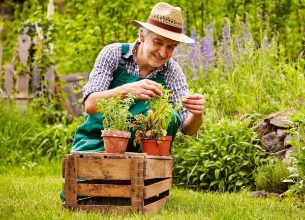 Benefits of Horticulture Therapy for Dementia - ReaDementia