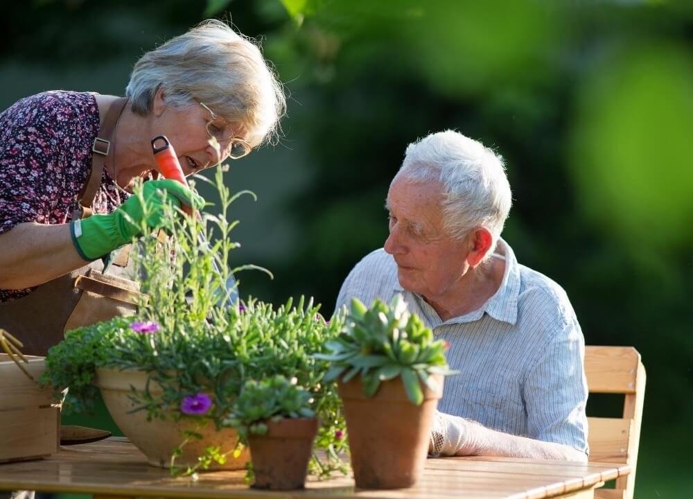 if the person with dementia is engaging with the garden it is a success