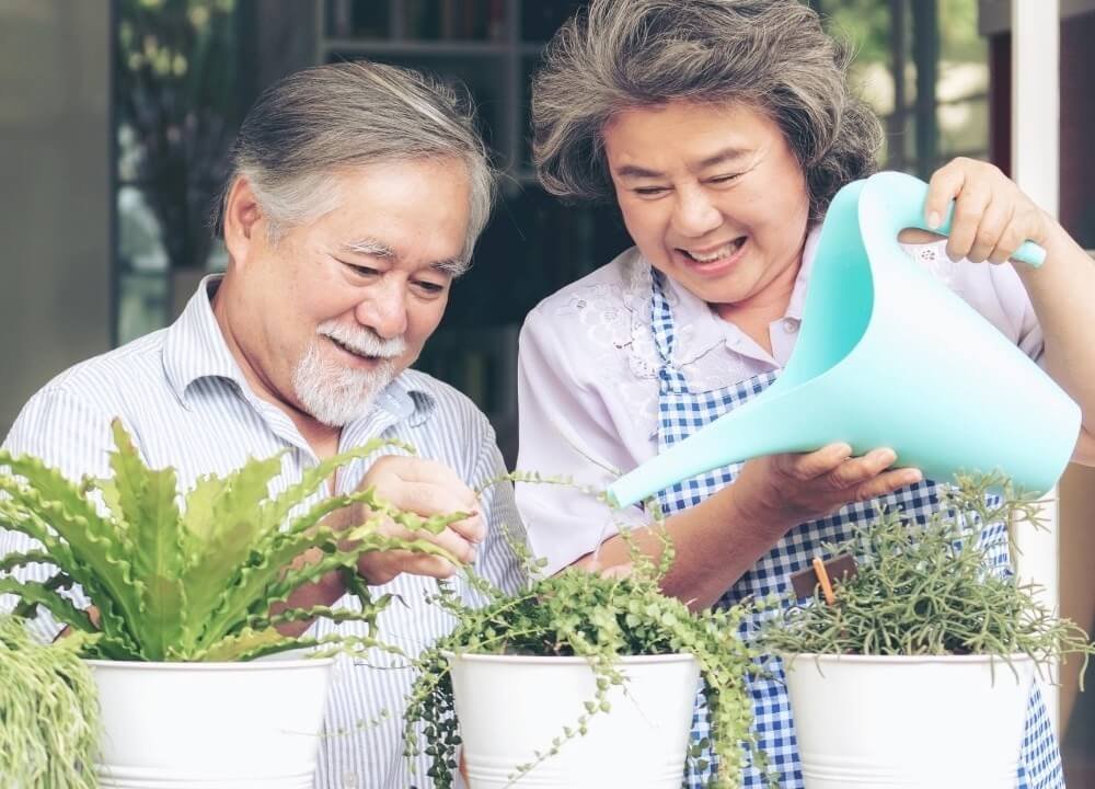 interaction with plants benefits people with dementia