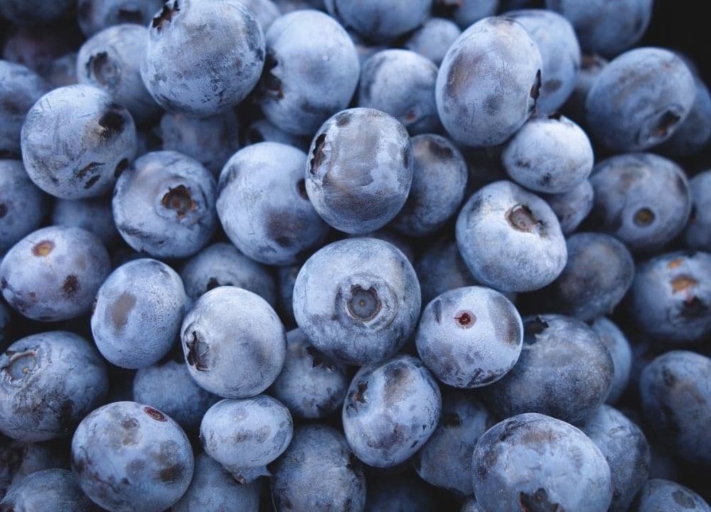 blueberries can help slow cognitive decline