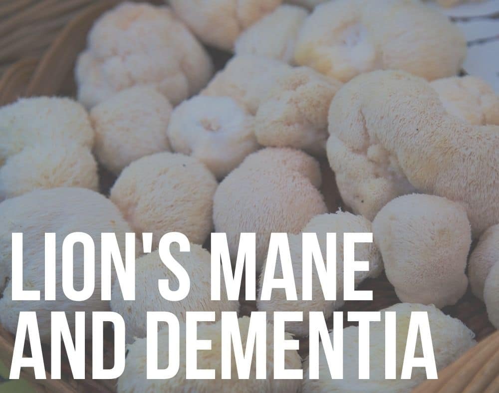 lion's mane and dementia