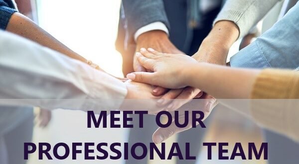 Meet Out Professional Team