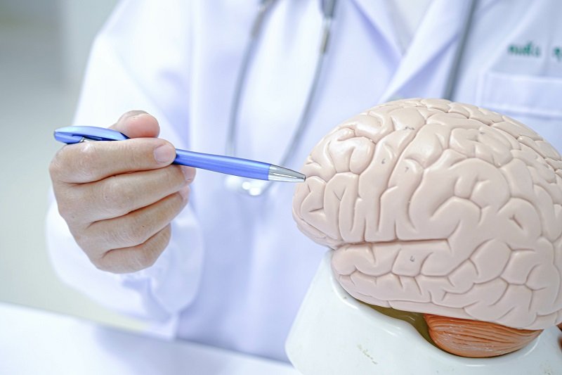 How to spot early signs of dementia in women readementia
